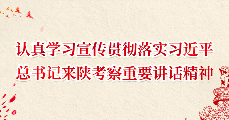 認(rèn)真學(xué)習(xí)宣傳貫徹落實(shí)習(xí)近平總書(shū)記來(lái)陜考察重要講話(huà)精神