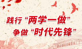 兩學(xué)一做